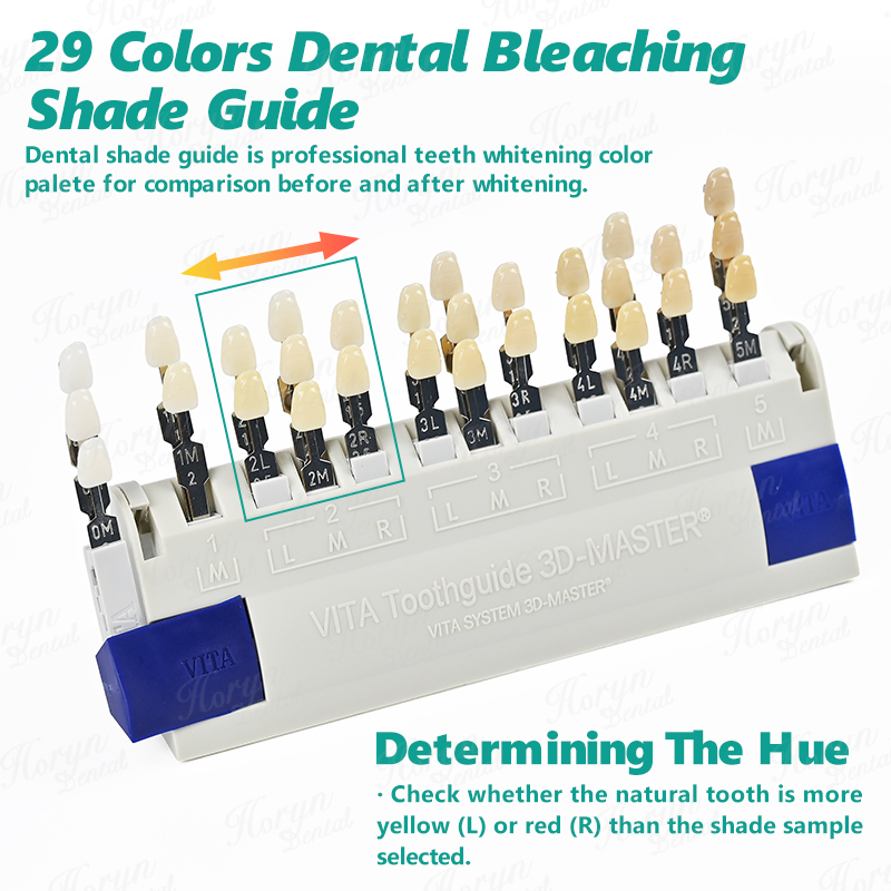 Vita 3D Master Dental Lab Blea - Teeth Whitening For Trays review and price